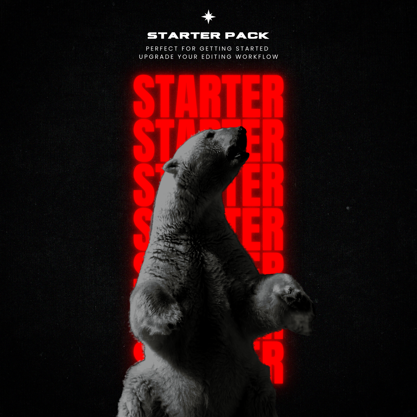 STARTER